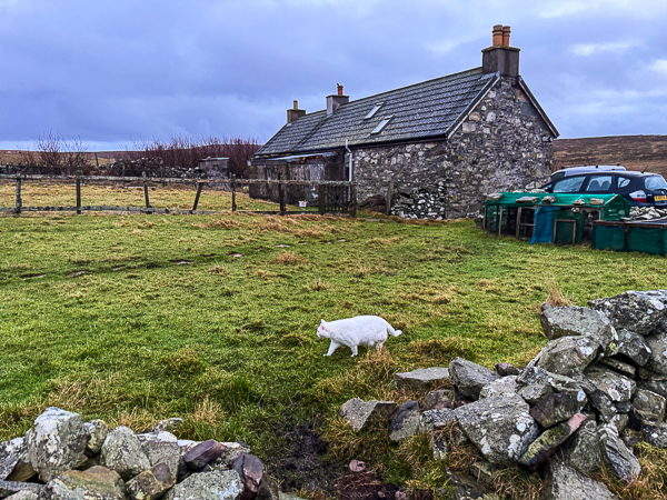 Monster on a Mission Monster on a Mission