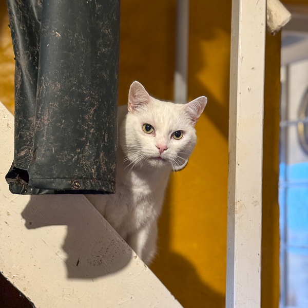 Just Rainy Day Stuff